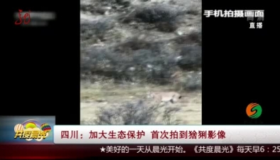 四川：首次拍到猞猁影像